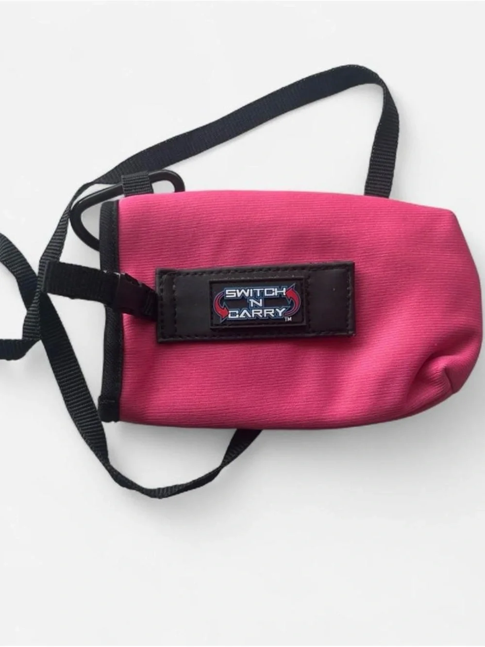 Nintendo Carry Pouch